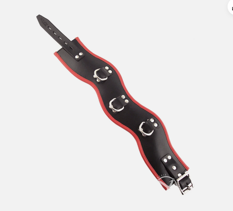 Rouge Posture Adjustable Collar 3 Ring - Black/Red — delivered in Vancouver in 1–2 hours | Heaven Boutique