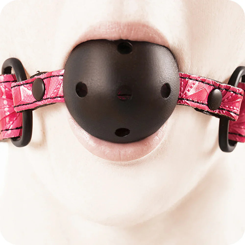Sinful Ball Gag in Pink – Vancouver – packaging view