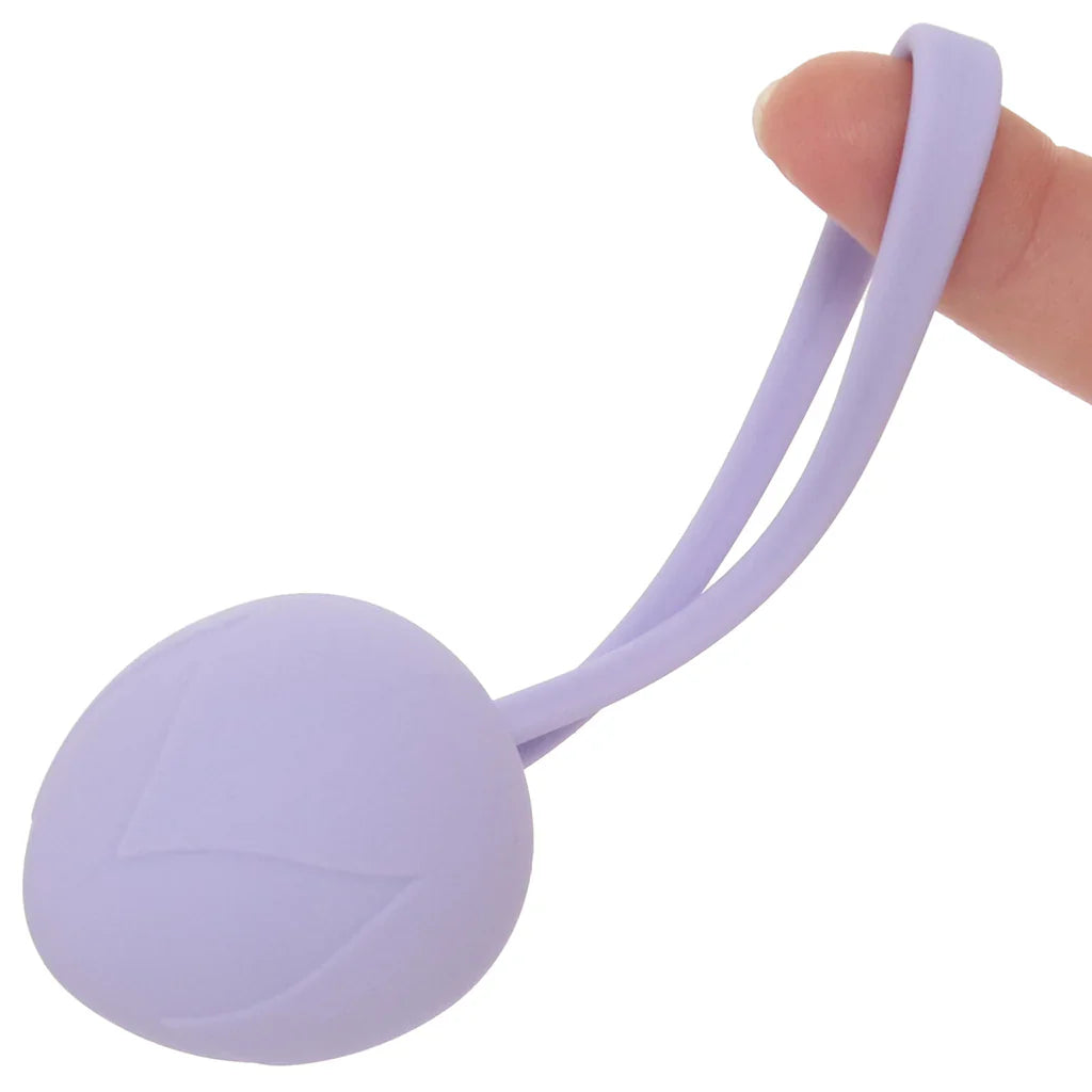 Loveline Pelvifit Berry Kegel Kit – Vancouver – packaging view