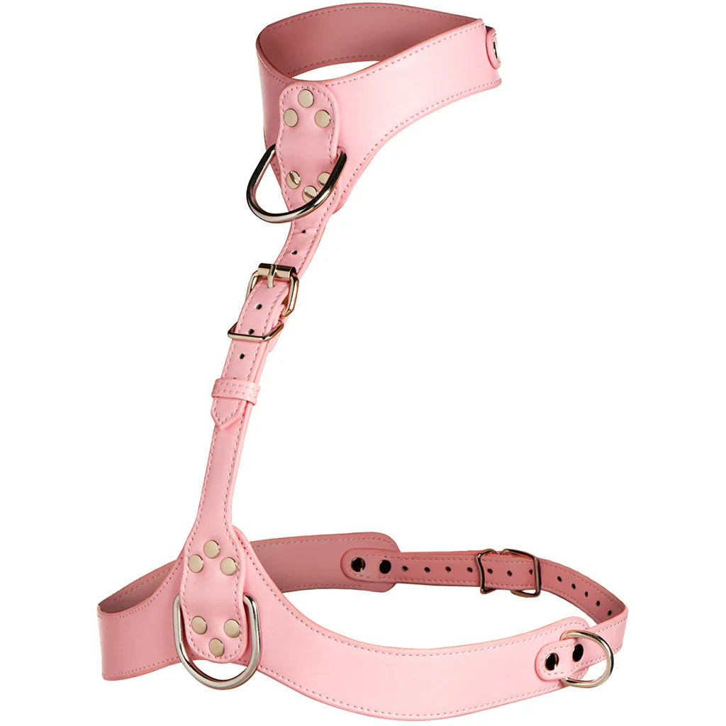 Master Series Vixen Chest Harness in Pink – Vancouver — discreet 1–2 hour delivery – close-up view