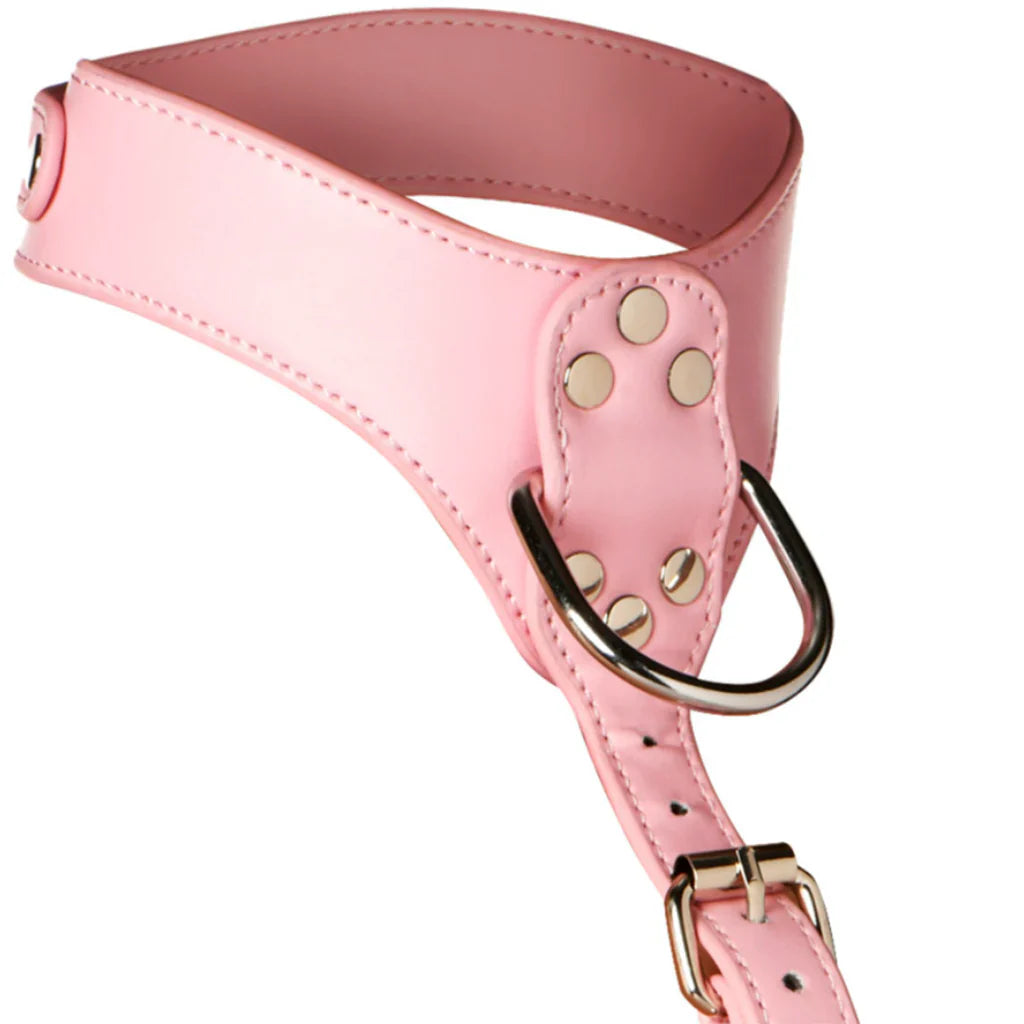 Master Series Vixen Chest Harness in Pink – Vancouver – packaging view
