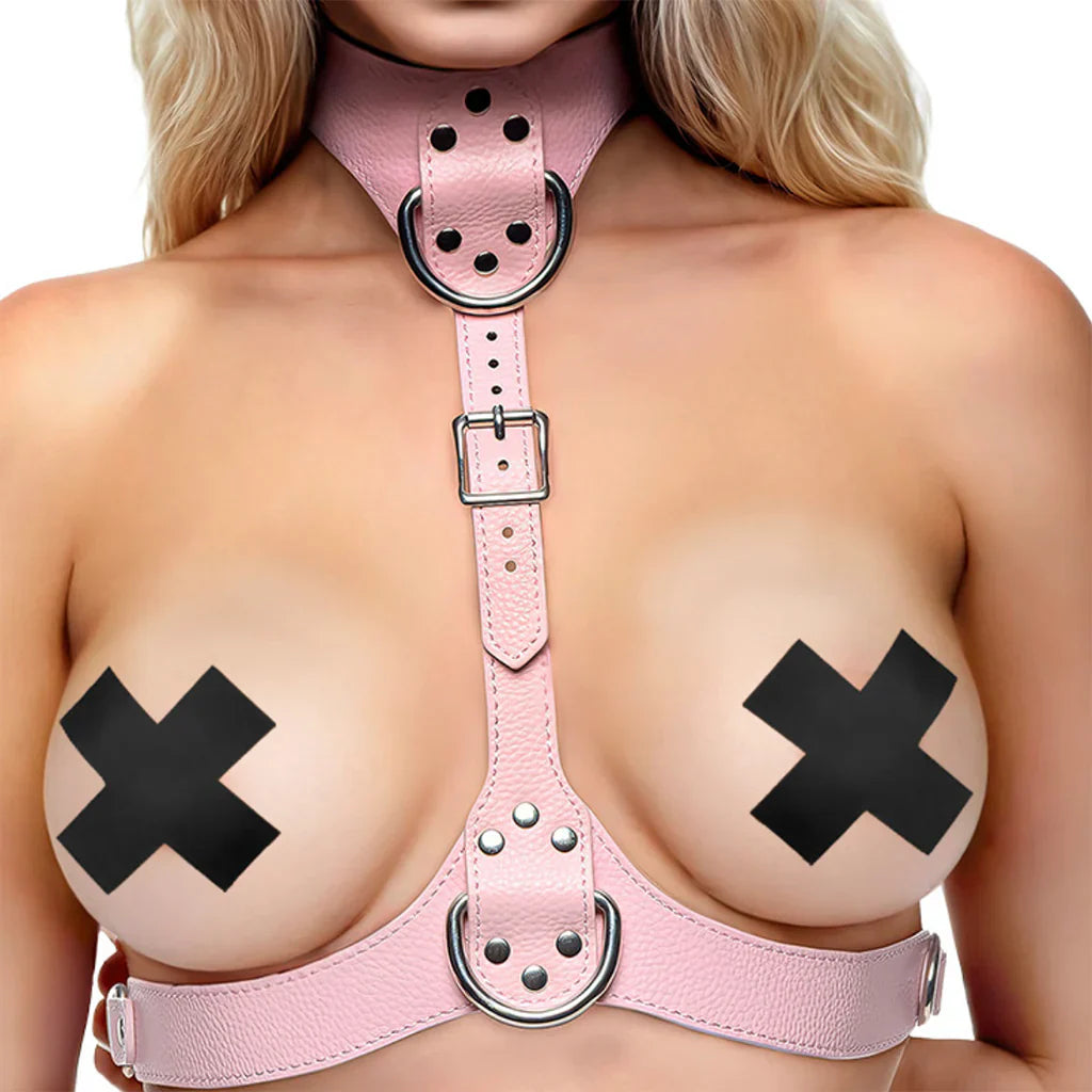 Master Series Vixen Chest Harness in Pink – Vancouver adult boutique – features