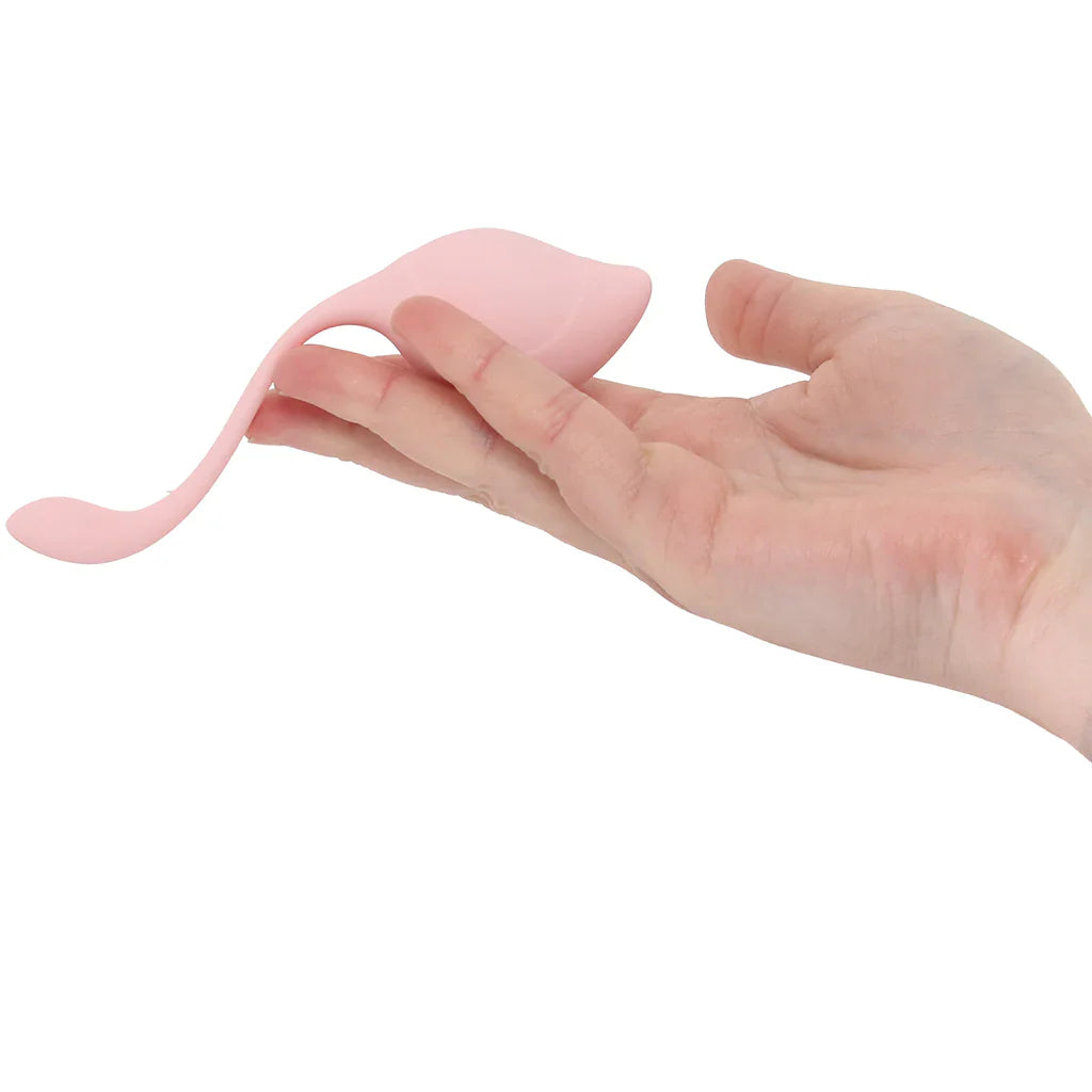 Loveline Pelvifit Stem Kegel Kit – Vancouver adult boutique – features