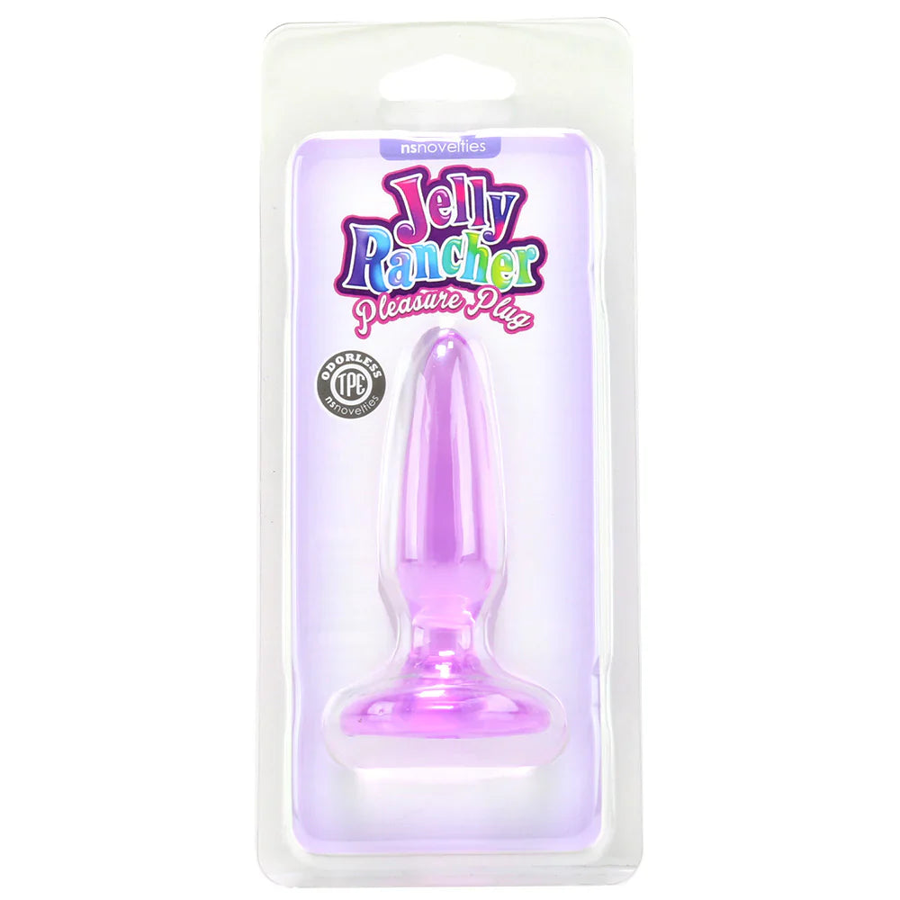 Jelly Rancher Mini Pleasure Plug in Purple — delivered in Vancouver in 1–2 hours | Heaven Boutique