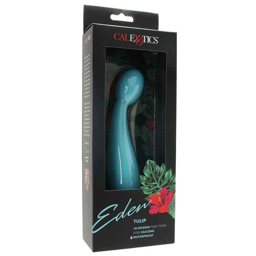 Eden Silicone Tulip Vibe in Teal — delivered in Vancouver in 1–2 hours | Heaven Boutique