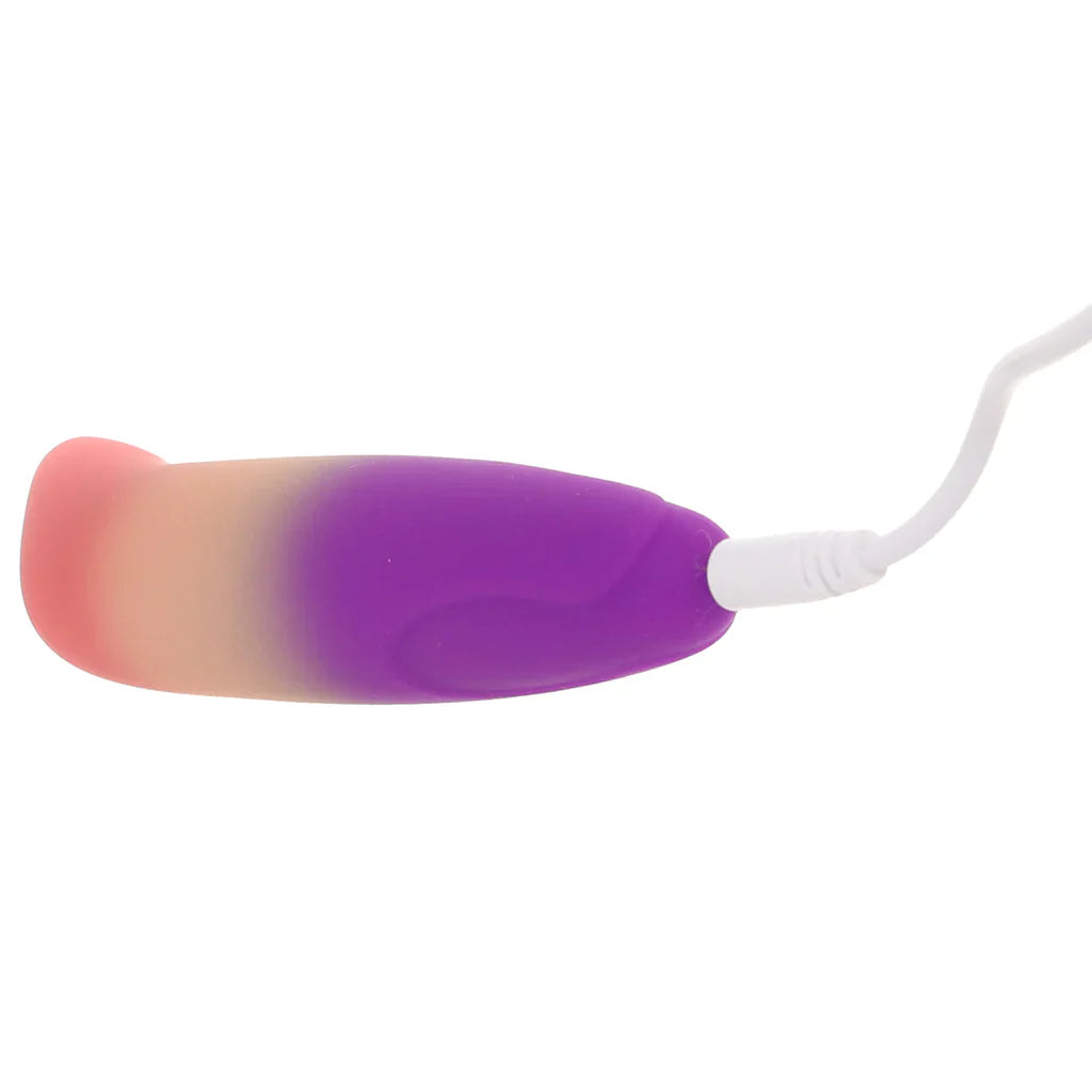 Play With Me Dolphin Dreams G-Spot Vibe Vancouver – product detail
