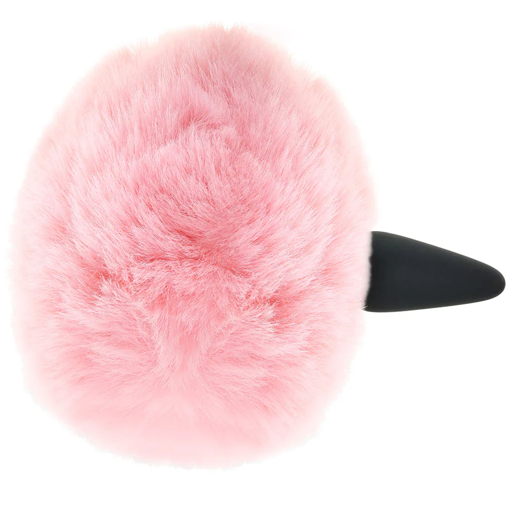 Tailz Snap-On Anal Plug and 3 Interchangeable Tails Set – Vancouver — discreet 1–2 hour delivery – close-up view