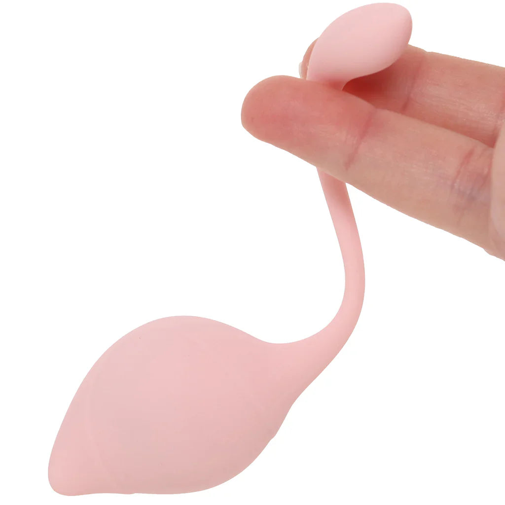 Loveline Pelvifit Stem Kegel Kit – Heaven Boutique Vancouver – additional angle