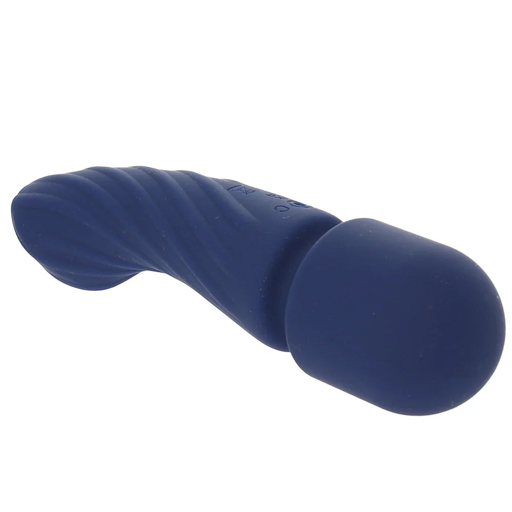Charisma Allure Dual Wand – Vancouver adult boutique – features