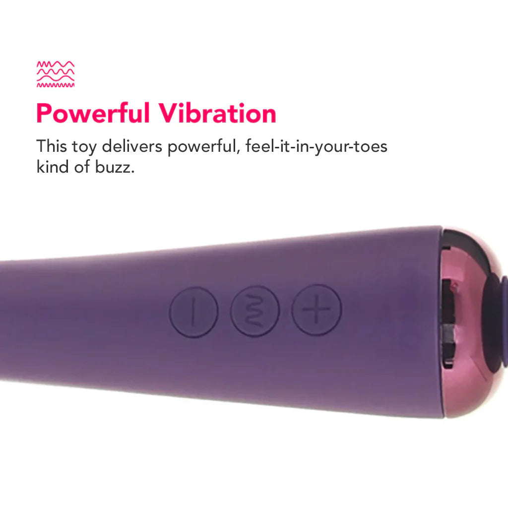 Love Distance Grasp App Controlled Wand – Vancouver adult boutique – features